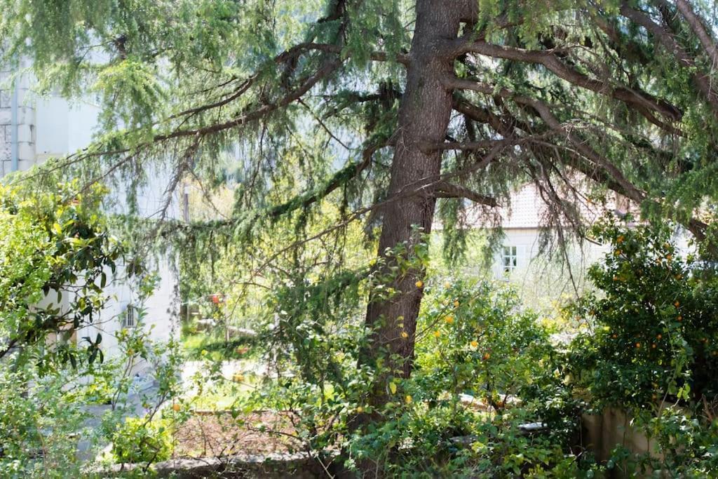 Lapad Cove Apartment Dubrovnik Bagian luar foto