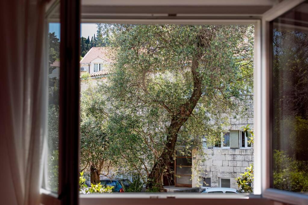 Lapad Cove Apartment Dubrovnik Bagian luar foto